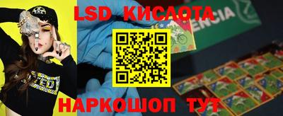 мдпв Гатчина