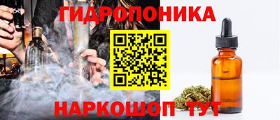 мдпв Гатчина