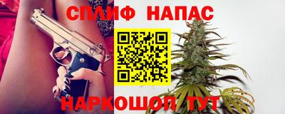 мдпв Гатчина